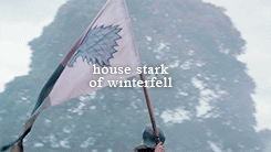 lyannastarqk:  “You Westerosi are all the same. You sew some beast upon a scrap of silk, and suddenly you are all lions or dragons or eagles” 