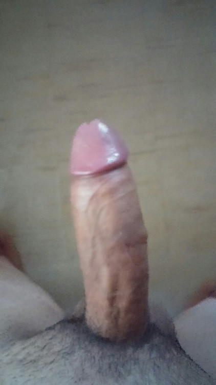 bellaqueopr:  elyaque:  bellaqueopr:  elyaque:  Llegando del trabajo bien bellaco  No la botes dámela  Toda tuya cuándo quieras bellaqueopr  No tienes esa función activa