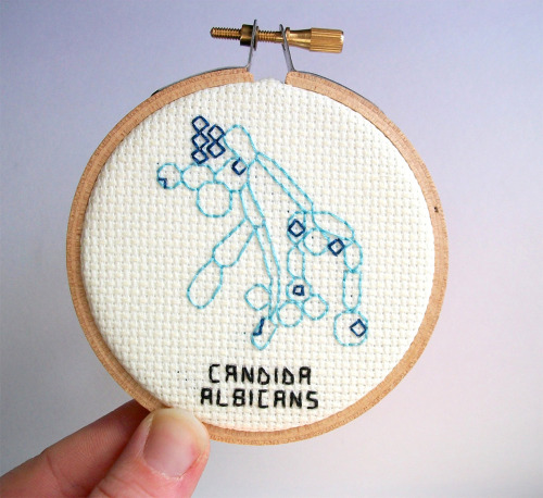 culturenlifestyle:  Adorable Cross-Stitched Illustrations of Microbes and Germs by Alicia Watkins Artist Alicia Watkins creates adorable cross-stiched illustrations of germs, microbes and other tiny pieces on her indie boutique Watty’s Wall Stuff