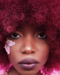 2frochicks:  Cherry berry pie 🍒🍓 | ph. @gabrielamendezphotography  . . . #2frochicks #curlyhair #cherry #bighair #braids #TWA #naturalhair #naturalcurls  #myhaircrush #kinkyhair #hairporn #haironfleek #afrohair #frizzyhair #teamnatural #hair #curly