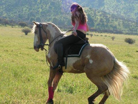 cantering-bareback:le-thoroughbred:dirty-britches:ibelieveintheunderdogx:talkdontchangeathing:equine