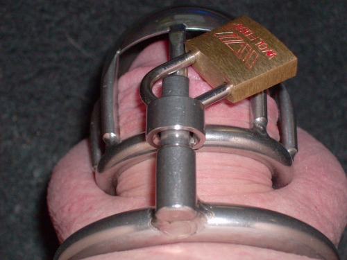 tiny-dick-jeffrey-hewitt:  Jeffrey Hewitt’s clitty locked up in an ultra-small cock cage! The tiny niblet doesn’t even come close to filling it up! 
