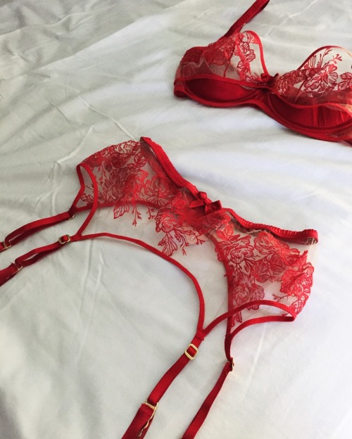 million-dollar-goals:  red sheer lace lingerie
