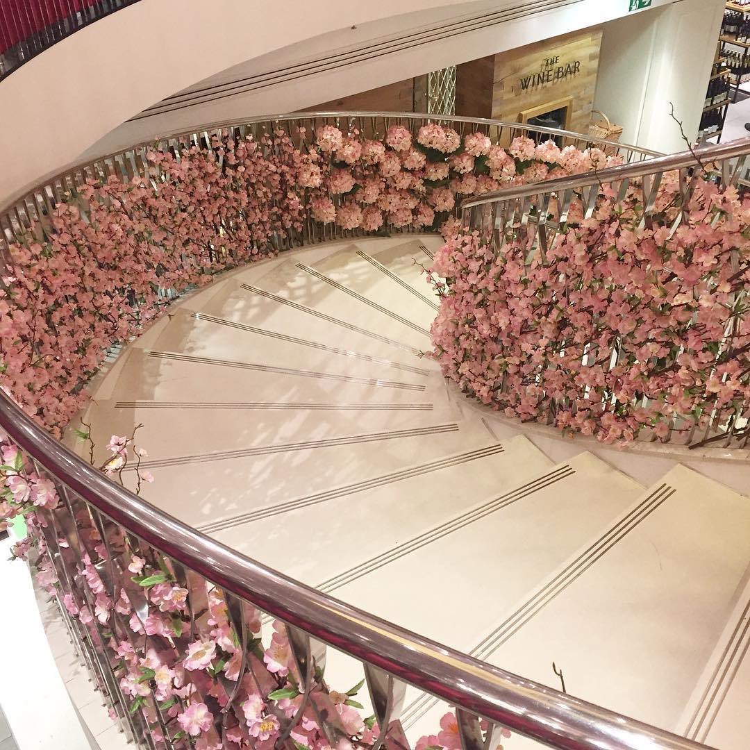 thecommonchick:How I want to wake up when I get married because I’m a dramatic