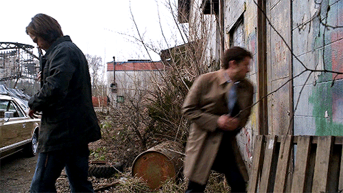 "We Have To Get In Here." ↳ 9.22 - STAIRWAY TO HEAVEN