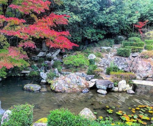 ＼おにわさん更新情報／ ‪[ 岡山県津山市 ] 安国寺庭園“石林園” Ankoku-ji Temple Garden, Tsuyama, Okayama の写真・記事を更新しました。 ーー津山城から西