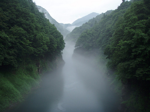 softwaring: misty Japanese valley by TravelingFio on Flickr.