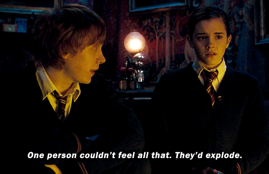 esmesqualor:  HARRY POTTER &amp; THE ORDER OF THE PHOENIX (2007) — dir. David