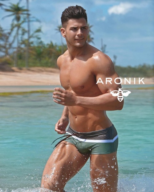 #Ensign Collection Aronikswim.com