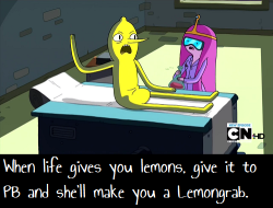 confessingadventuretime:  adventuretitan:  or give them to Lemongrab and he’ll become a korean dictator   