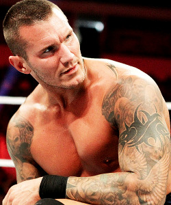  2/50 - Randy Orton ♡ 