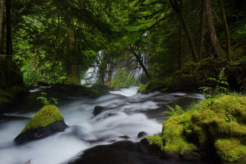 Panther Creek by Thaddeus Sissing on Flickr.