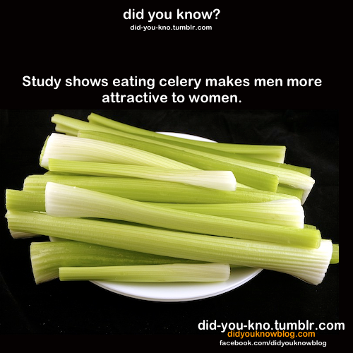 did-you-kno:  Source 