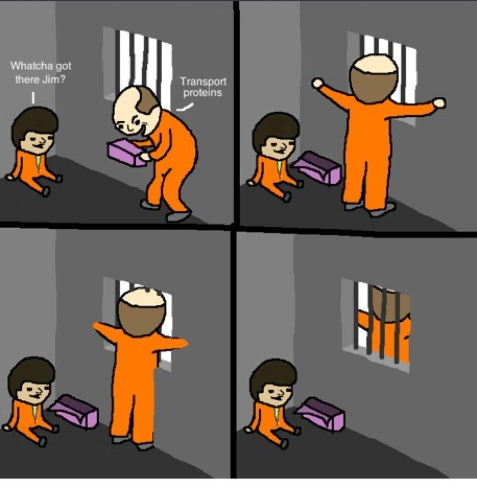 karin848:  servinjesus:servinjesus:  How did the Nucleus escape from prison?  Through