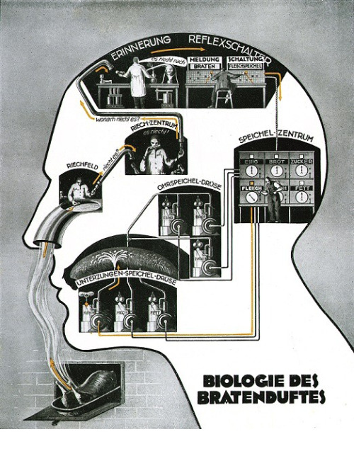 Fritz Kahn, pioneer of info graphics. Exhibition Bildfabriken. Infografik 1920-1945: Kahn – Neurath 
