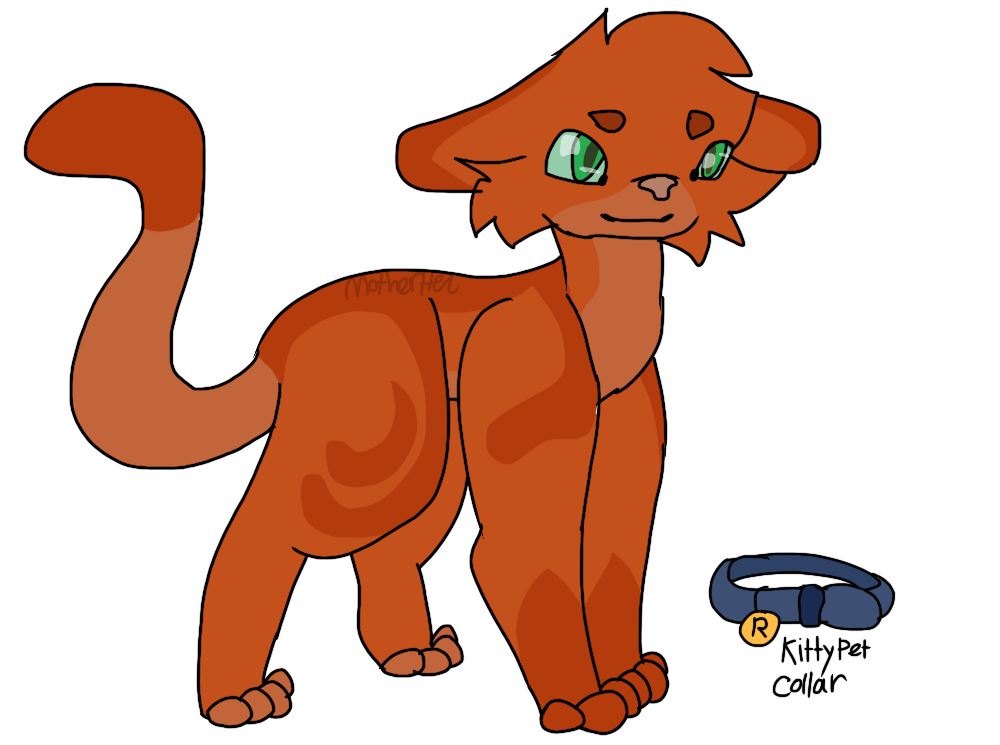 Firestar - prophecy cat : r/WarriorCats