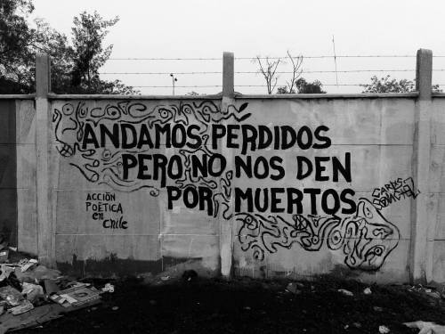 accionpoeticaenchile:  Nunca lo hagan…“Andamos perdidos pero no nos den por muertos”Acción Poética en Chile, La Granja. 