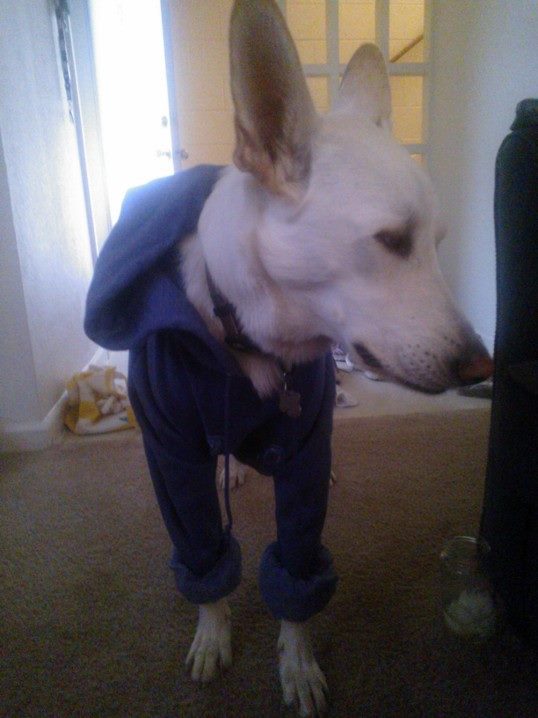 A better picture of Juvia&rsquo;s sweater Now I just have to find one small enough