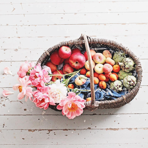 lushlity: rosetty: aestheticales: Posted by simplepureco on instagram Rosetty Lush Lush