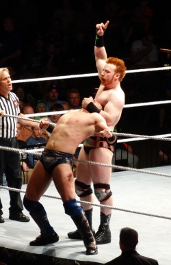 mommamcclay:  The Miz Vs. Sheamus. Rochester MN 6/9/2014