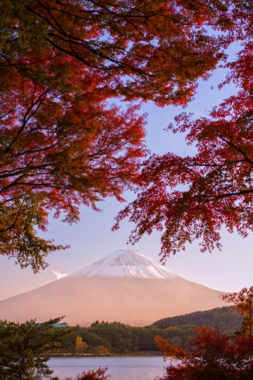 favorite-season: Mt. Fuji area is now fully autumn by Hidetoshi Kikuchi