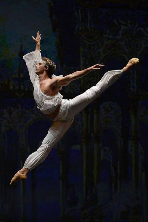 dance-world: Philipp Stepin - photo by Alain Hanel 