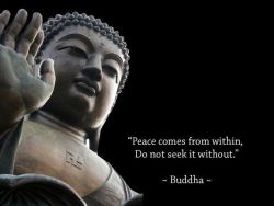 zengardenamaozn:  Zen Quotes That Will Make You Feel Peaceful  