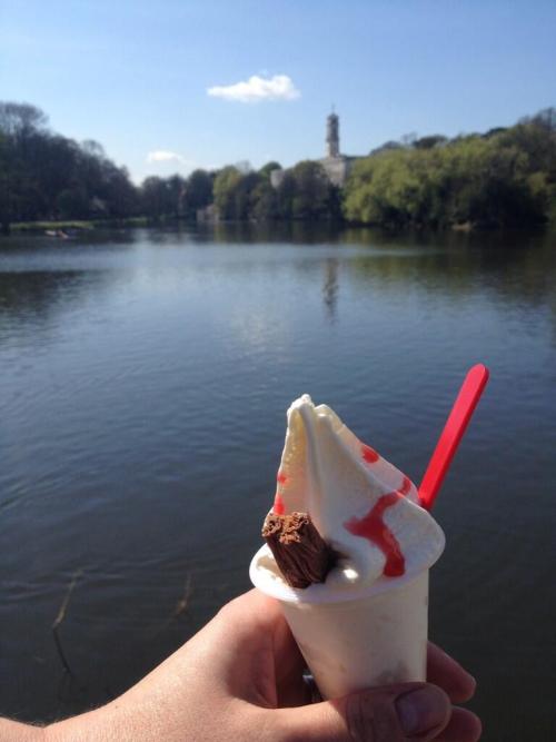 Ice cream cam.
(Thanks to Michelle Dickson from the Vet School for this yummy picture)