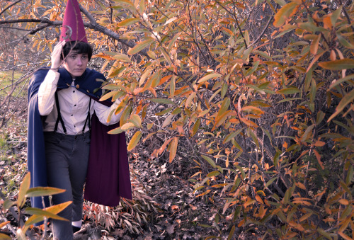 pumpkinetics:Oh how the gentle windbeckons through the leavesas autumn colors fall…wirt - photograph