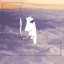 wrongabout-u