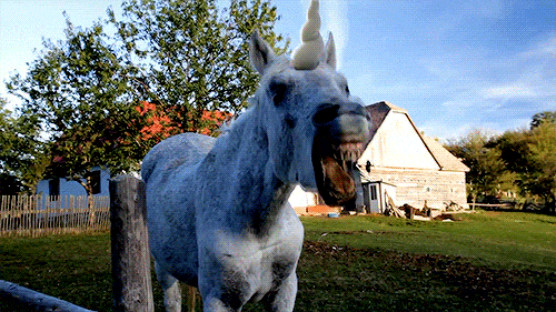 Zombi Unicorn Twitch