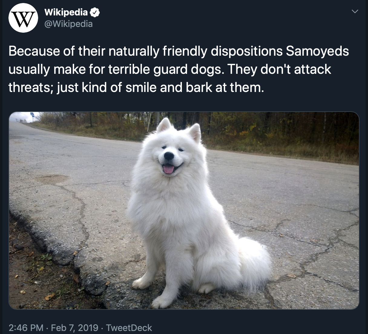 dumbass-bitch-disease:  That distracts the burglar long enough that u can call the