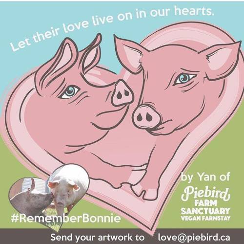 Beautiful artwork created in honour of Bonnie and Clyde, two pigs who were injured in the &ldqu