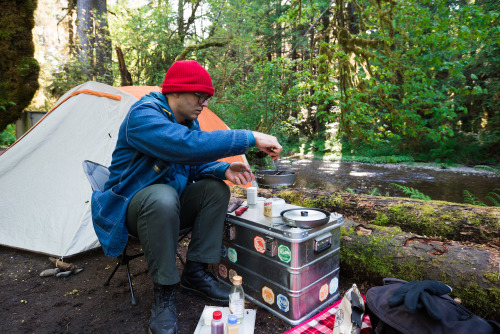 Redwood National Park: CampingCompletely breathtaking. Completely unreal.  I love this campsite