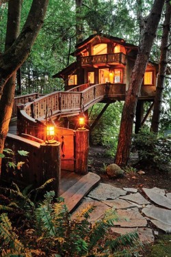 madflamingo:  Amazing Tree-houses Around