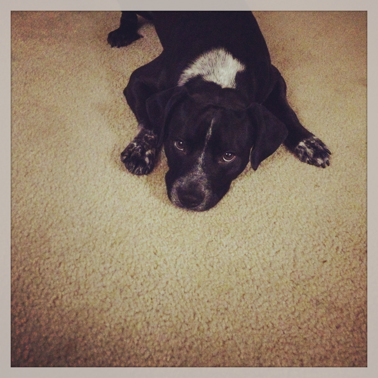 iloveshitwasted:  My baby cash