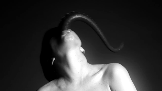 tumblr_ookagaIHAb1qm9co3o4_540.gif