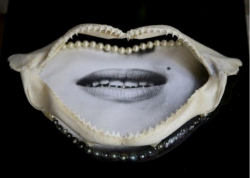 kirgiakos: Penny Slinger, ‘’Dentata’’ (from the Mouthpieces series, 1973)Photo Collage with shark jaws &amp; pearls.-Previously-