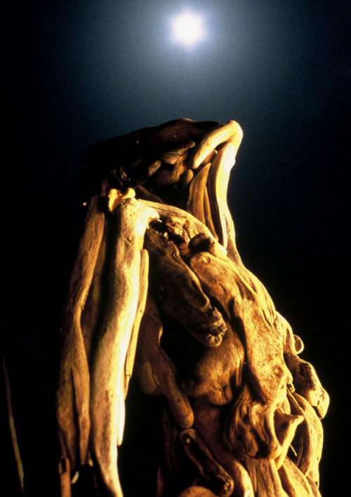 fujiwara57:                Nagato Iwasaki 岩﨑 (1983 - 2015) est un sculpteur japonais   passionné par la forme humaine. Il réalise des personnages fantomatiques en bois flotté. 