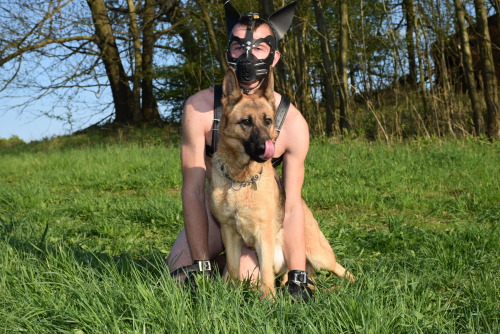 All Rough and Playful, Pups at thair best ;)