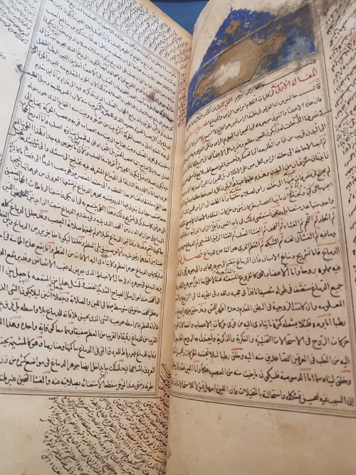 LJS 417 -[Books III-V of al-Qānūn fī al-ṭibb]This manuscript features three books from The Canon