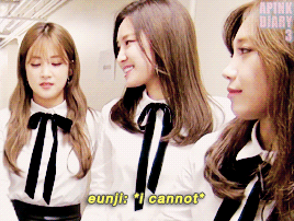 jungeunjiya:  eunji - on apink US tour / apink diary 3