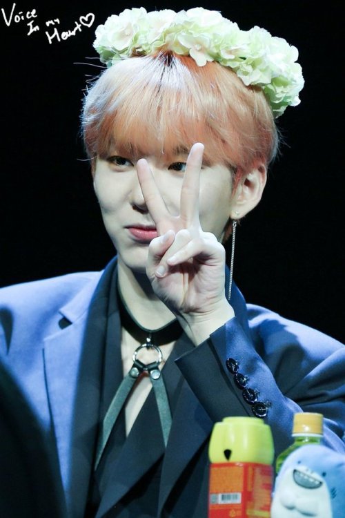 fymonsta-x: voice in my heart ϟ do not edit or crop logo. 