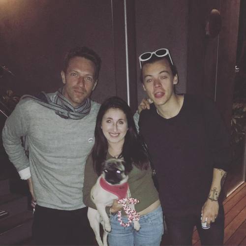fuckyeahzarry:  calliefornia203: Harry Styles and Chris Martin pet my dog tonight. Looks like he wil
