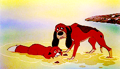 marklexie:    my favorite movies | the fox and the hound (1981)↳ “darlin’ forever