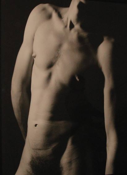 marcpix: wannes1963blr: Ph. Dino Pedriali  NIPPY 