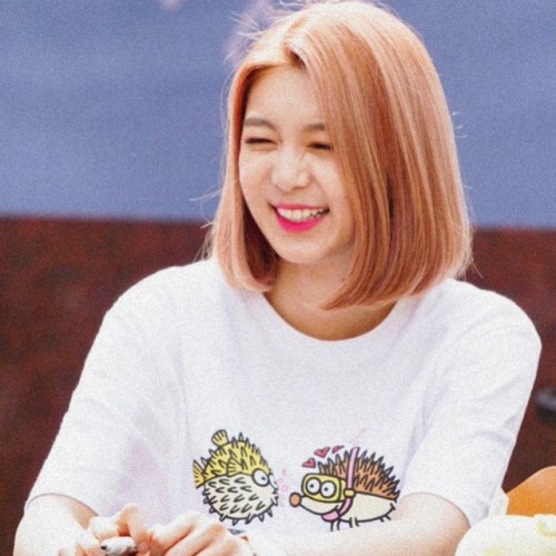 Dami icons *:.•♢°