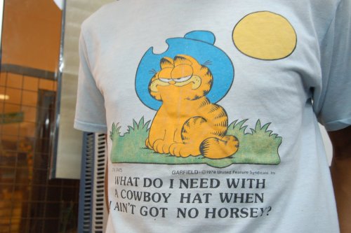 murray-garfchin.creator-spring.com/teespring.com/i-ain-t-got-no-horseyteespr