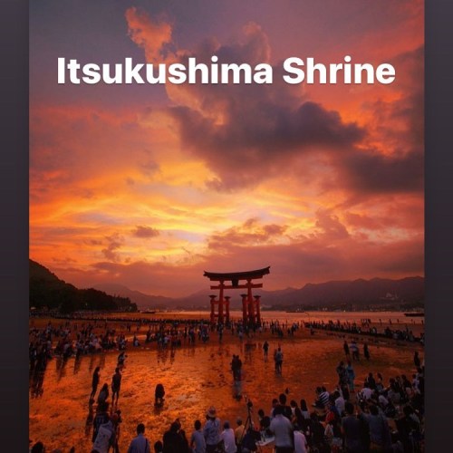 Love this shot of Itsukushima Shrine on Miyajima ⛩ (at Miyajima Island) www.instagram.com/p/