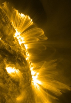 themagicofreality:  Sun activity, Oct. 22, 2011